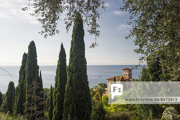 Botanischer Garten Hanbury  La Mortola  bei Ventimiglia  Riviera dei Fiori  Ligurien  Italien