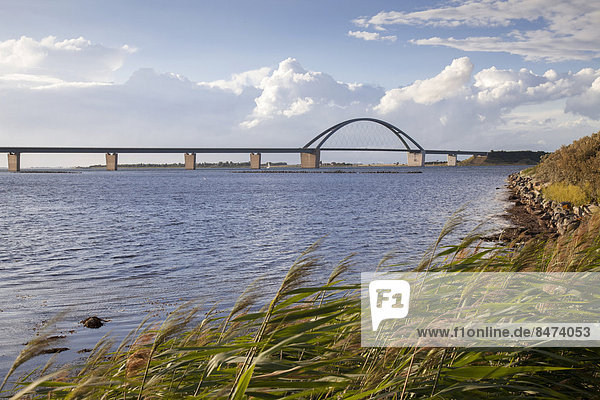 Fehmarnsundbrücke  Insel Fehmarn  Schleswig-Holstein  Deutschland
