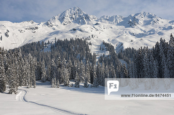 Verschneite Gebirgslandschaft mit Fichtenwald  Panoramaloipe Kristberg  Silbertal  Montafon  Vorarlberg  Österreich