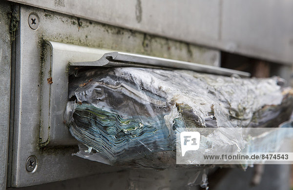 Mail rotting in a letterbox  Cologne  North Rhine-Westphalia  Germany