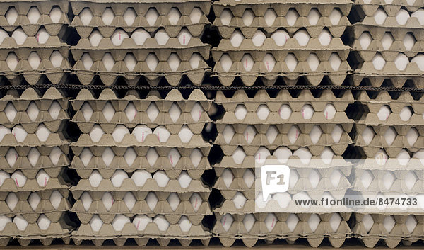 Eier in gestapelten Kartons  Eierfärberei Beham  Thannhausen  Bayern  Deutschland