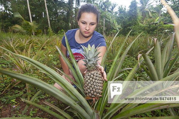 Mädchen  etwa 16 Jahre  greift nach einer Ananas (Ananas comosus)  Westprovinz  Sri Lanka