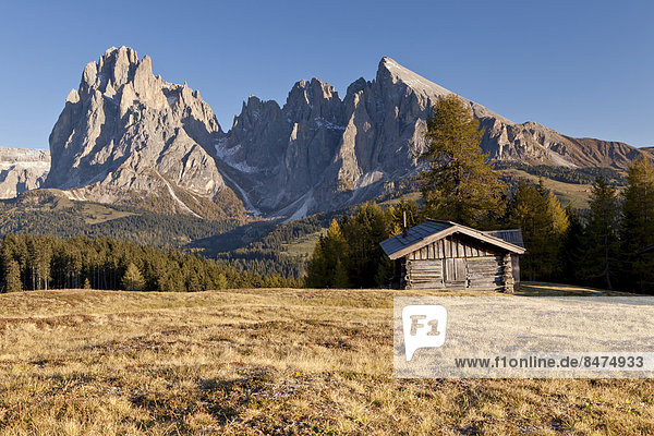 Seiseralm  Langkofel  Plattkofel  Südtirol  Dolomiten  Italien