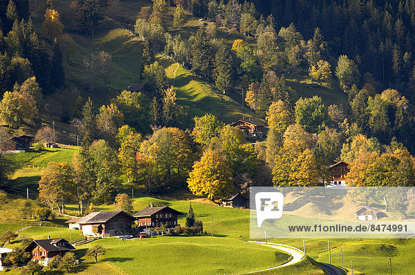 Tradition Landschaft Gebäude Herbst Grindelwald schweizerisch Schweiz Kanton Bern