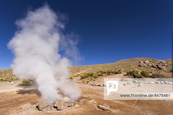Geysire El Tatio  Anden  Atacama-Wüste  Nordchile  Chile