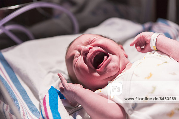 Neugeborenes neugeboren Neugeborene weinen Europäer Krankenhaus Baby Gitterbett
