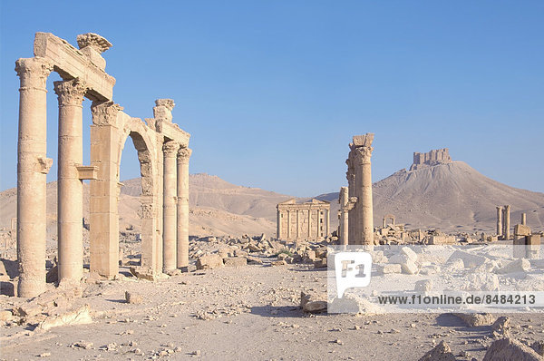 Ruins of the ancient city of Palmyra in the morning light  UNESCO World Heritage Site  Palmyra  Tadmur  Palmyra District  Homs Governorate  Syria