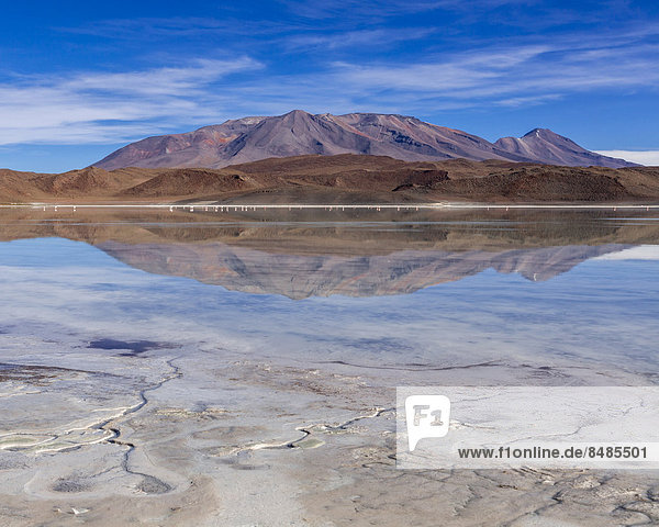 The lake Laguna Ramaditas  PotosÌ Department  Altiplano  Andean Plateau  Andes  Bolivia