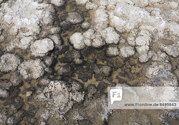 Salz-Ablagerungen in einem flachen Pool  Senke Badwater Basin  Salztonebene im Death Valley  tiefster Punkt in Nordamerika  Death-Valley-Nationalpark  Kalifornien  USA