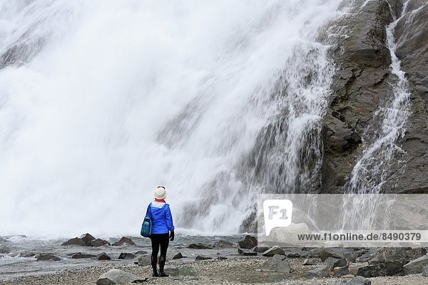 Nugget Falls at Mendenhall Glacier  Juneau  Alaska  United States of America  North America