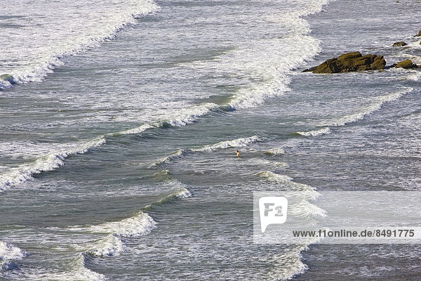 Lone swimmer in the surf at Druidstone Beach near Broad Haven  Pembrokeshire coast   Wales