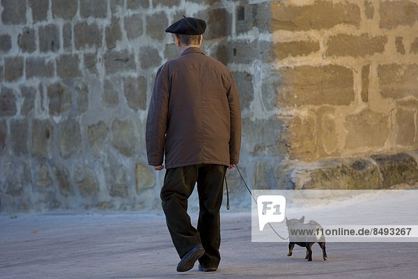 Old man walking his chihuahua dog in the streets of Laguardia  Northern Spain