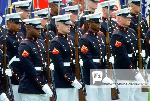 United States Military Guard of Honour with rifles raised parade on the White House Lawn  Washington  USA