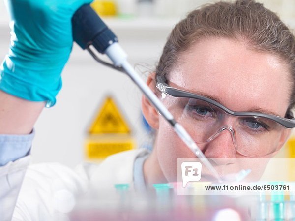 Wissenschaftler pipettieren Probe in ein eppendorf Fläschchen im Labor