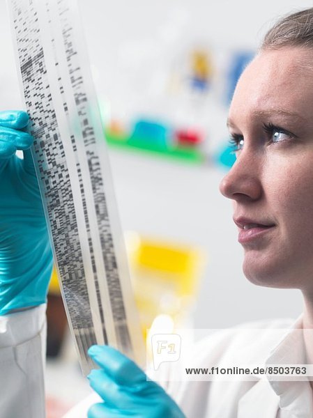 Wissenschaftler mit DNA-Autoradiogramm im Labor