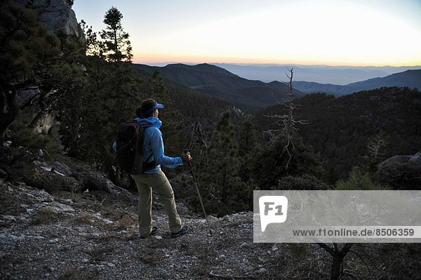 Wanderin mit Blick auf den Morgen  Mount Charleston  Nevada  USA