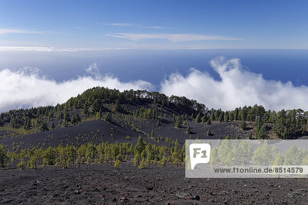 View from the Volcano San Martín  Cumbre Vieja in Fuencaliente  La Palma  Canary Islands  Spain