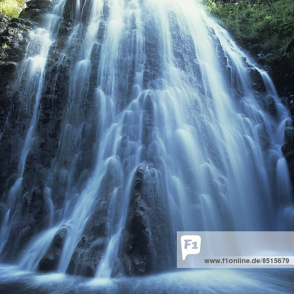 Wasserfall Regionaler Naturpark Volcans d?Auvergne Puy-de-Dôme Auvergne Frankreich