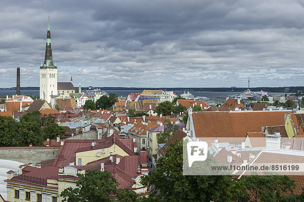 Tallinn Hauptstadt über Stadt Geschichte Ansicht Estland
