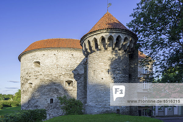 Turm Paks Margareeta  beherbergt das Meermuseum  Vanalinn  Tallinn  Harju  Estland