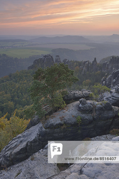 Ausblick über die Schrammsteine im Elbsandsteingebirge im Abendrot im Herbst Sächsische Schweiz Bad Schandau Sachsen Deutschland