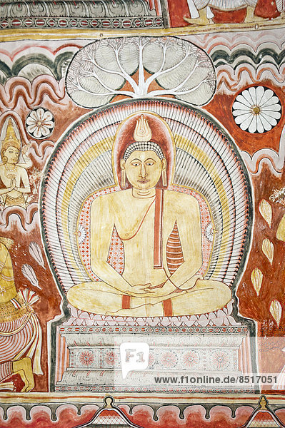 Colourful wall painting  fresco  Buddha meditating  Dhyana Mudra  Maharaja-Iena cave  Buddhist cave temple of Dambulla  Golden Temple of Dambulla  Central Province  Sri Lanka