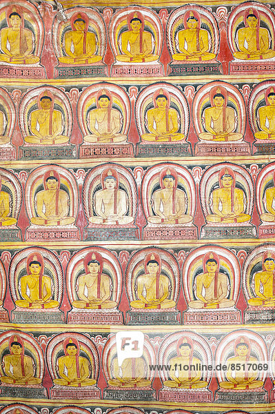 Colourful wall painting  fresco  many Buddhas in meditation  Dhyana Mudra  Maharaja-Iena cave  Buddhist cave temple of Dambulla  Golden Temple of Dambulla  Central Province  Sri Lanka