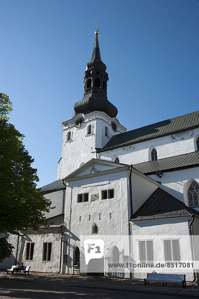 Domkirche  Tallinn  Estland  Baltikum