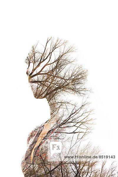 Frau  Baum