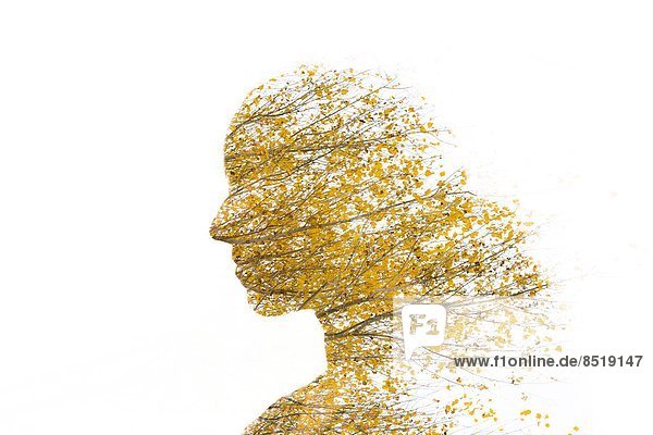 Frau  Baum