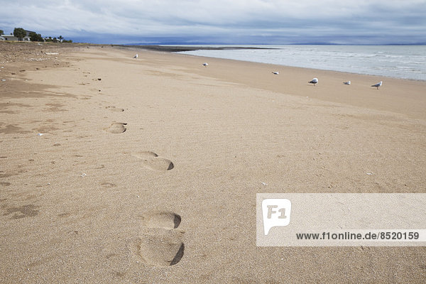 New Zealand  Coromandel Peninsula  foot traces on beach