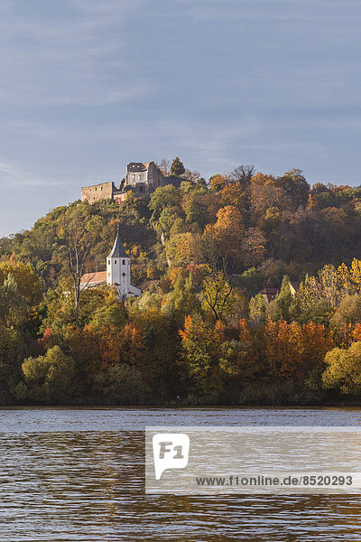 Deutschland  Baßaria  Oberpfalz  Donaustauf  Blick auf die Burgruine an der Donau ßalley