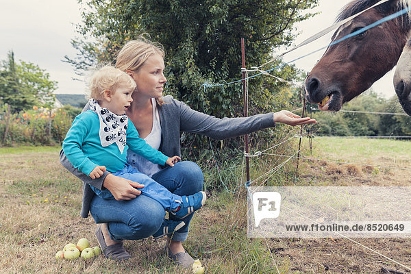 Mother and son feeding a horse with apples