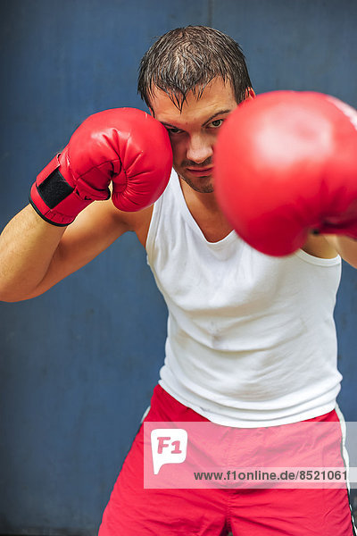 Boxer with red boxing gloßes fighting