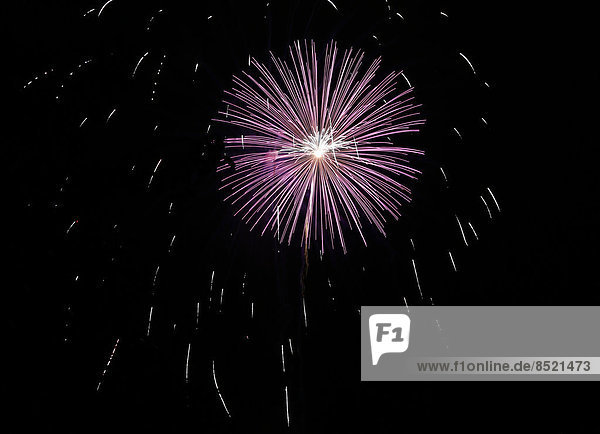Pink and white fireworks at black sky
