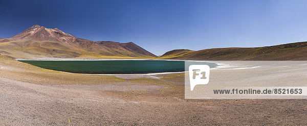 South America Chile Atacama Desert Laguna Miniques in the background Andes