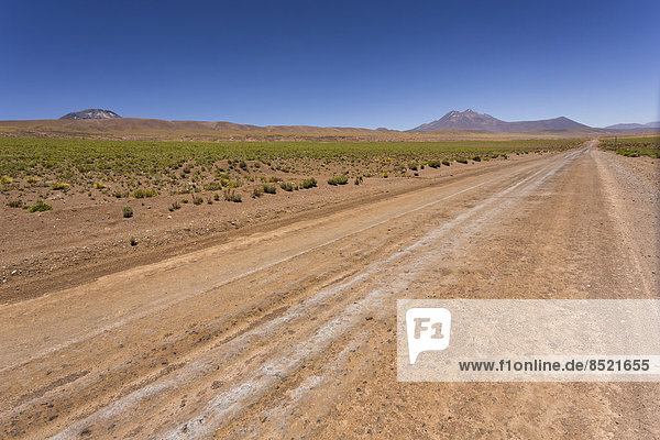 Südamerika  Chile  Atacama-Wüste  Straße zur Laguna Miscanti  im Hintergrund Anden
