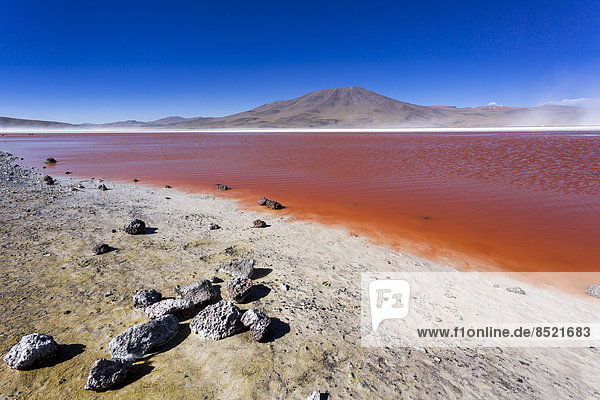 South America  Bolißia  Atacama Desert  Altiplano  Laguna Colorada