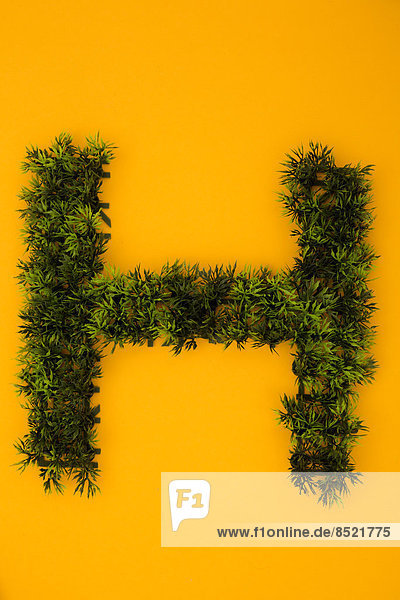 'Letter ''H'' formed of plastic grass at yellow background  studio shot'
