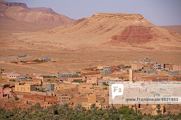 Afrika  Marokko  Souss-Massa-Draa  Tinghir  ßBlick zur Oasenstadt Tinghir