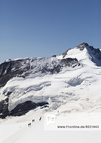 Switzerland  Bernese Oberland  Aletsch Glacier  Moutaineers at Jungfraujoch