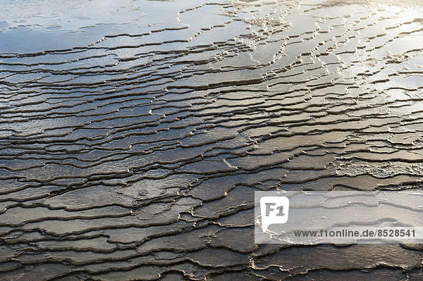 Detail  Blauwasserbecken  heiße Quelle Bláhver  Kalk-Sinterterrassen  Öskjuhöll oder Öskurhólhver  Geothermalgebiet Hveravellir  Kjölur  Hochland  Island