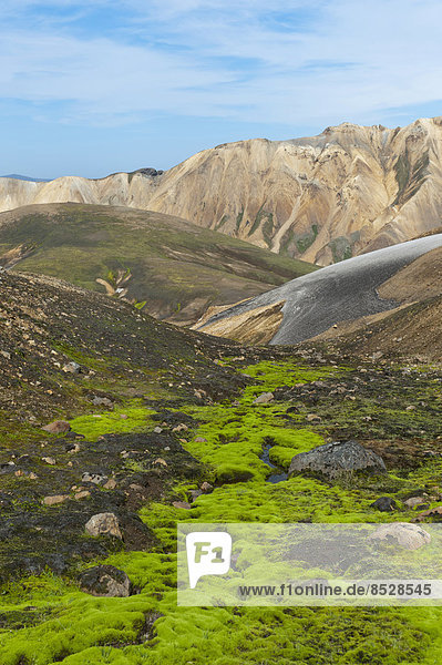 Berglandschaft  buntes Rhyolith-Gestein  teils mit grünem Moos überwachsen  Landmannalaugar  Hochland  Suðurland  Island