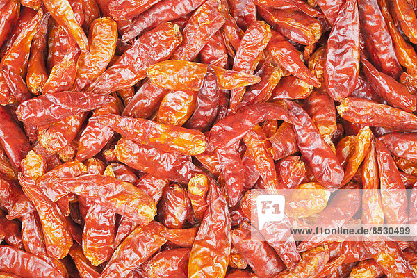 Getrocknete rote Chilischoten aus Vietnam