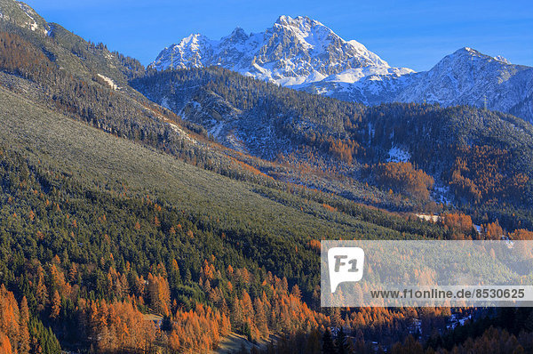 Mieminger Gebirge im Herbst  Holzleiten  Tirol  Österreich