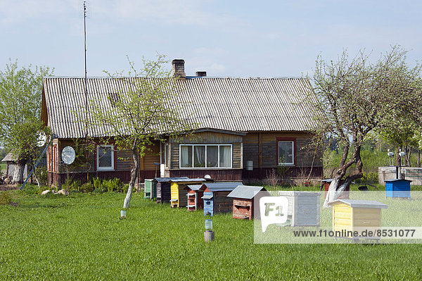 Beehives in front of a house  Rudiskes  Lithuania  Baltic States