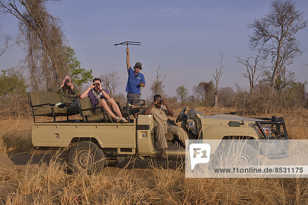 Touristen suchen mit Telemetrie-Geräten Raubkatzen  Nsefu-Sektor  South-Luangwa-Nationalpark  Sambia