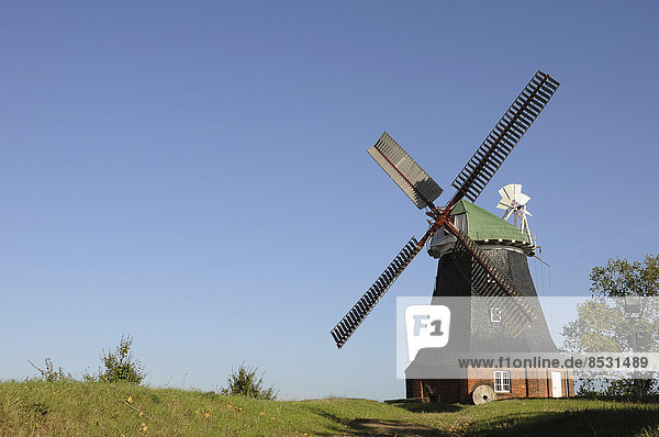 Windmühle  Stove  Salzhaffregion  Mecklenburg-Vorpommern  Deutschland