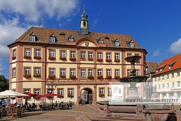 Rathaus  Marktplatz  Neustadt an der Weinstraße  Rheinland-Pfalz  Deutschland  Europa