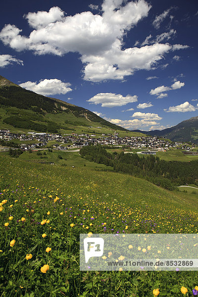 Fiss mit Blumenwiese  Tirol  Österreich